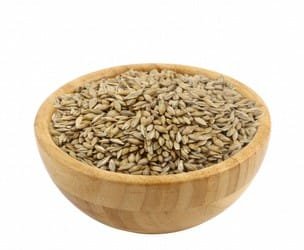 085337b0 2365 4fce 9b25 2f940dad8021ce37192494f307d0f7ae1cba58b87c93 z5zHKx7qH1